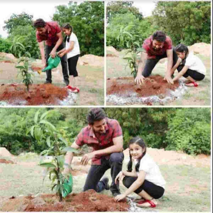 Mahesh Babu Green India Challenge, Alia Bhatt sustainable living, Priyanka Chopra social causes, Shah Rukh Khan philanthropy, Dia Mirza environment